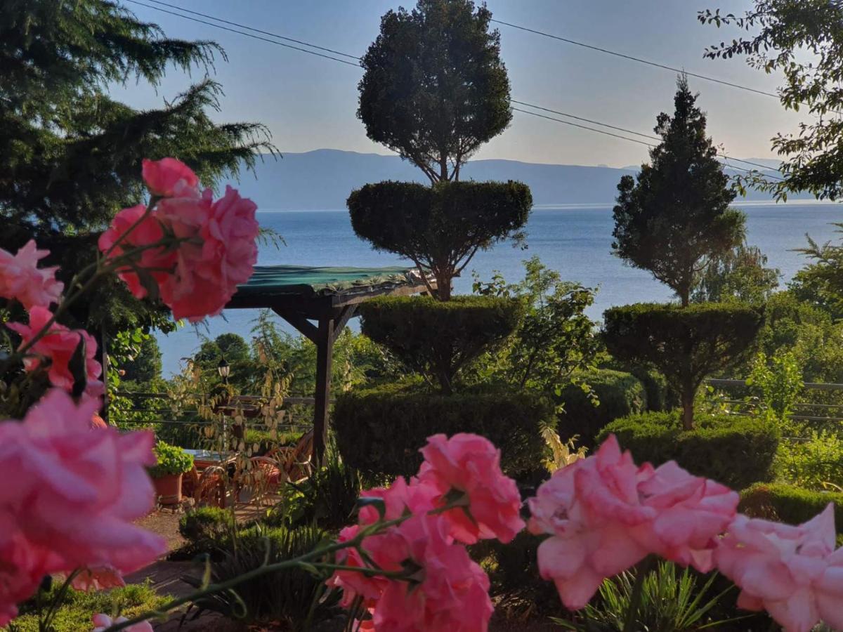 Anastas * Ohrid