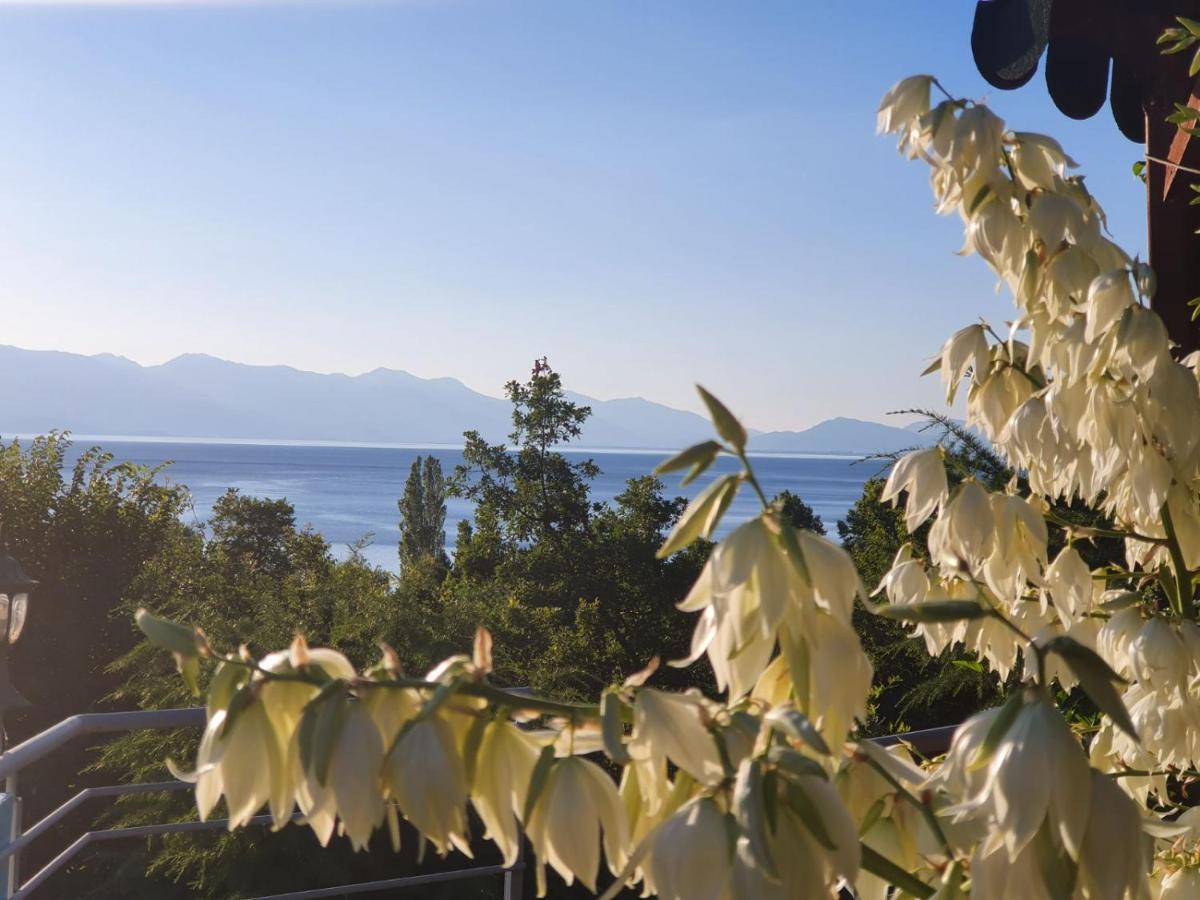 Apartment Anastas Ohrid