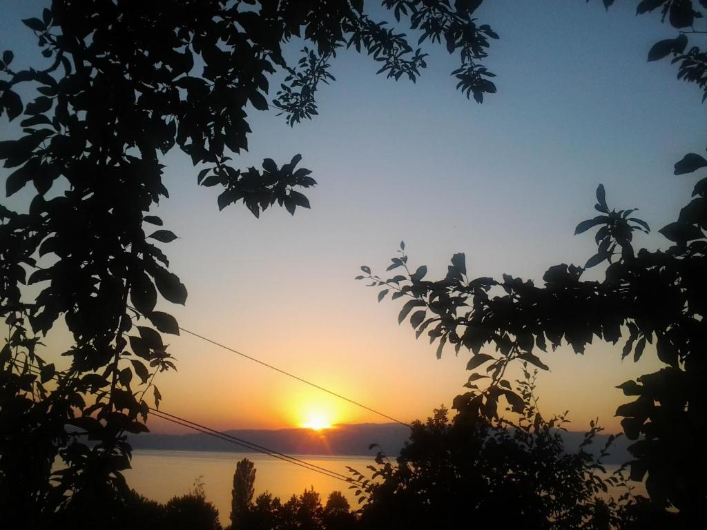 Anastas