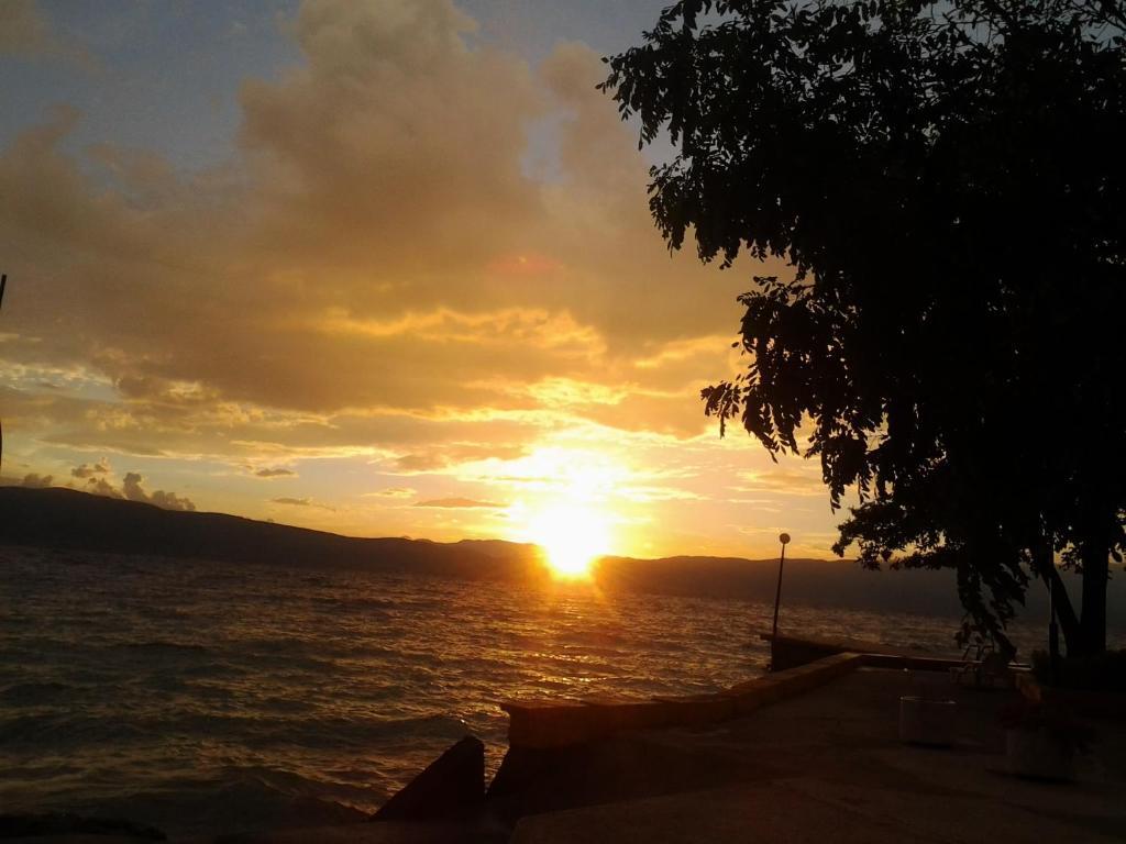 Anastas Ohrid