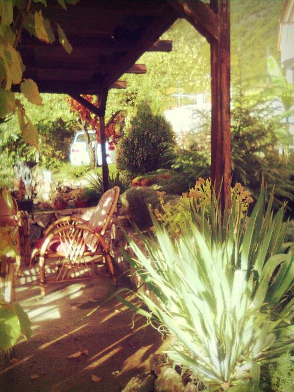 Apartment Anastas *