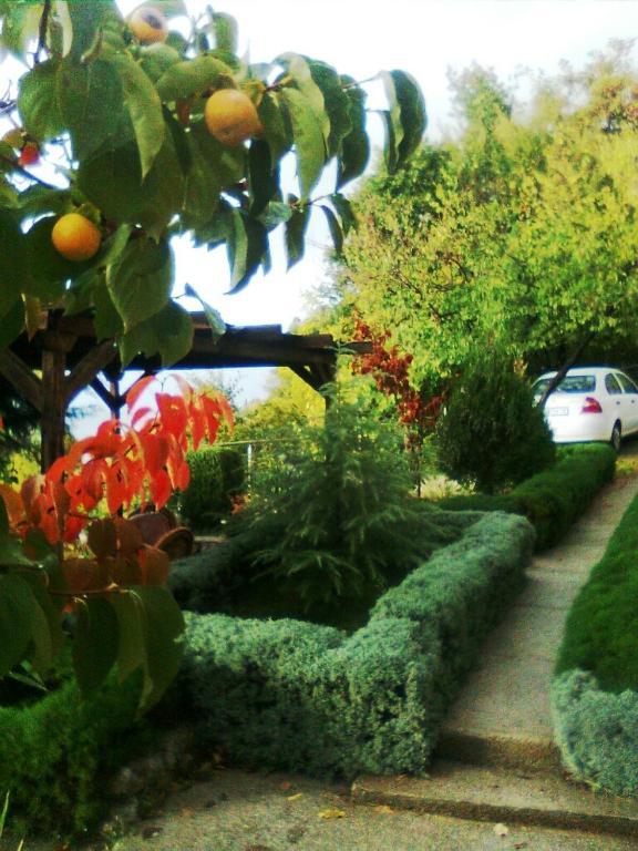 Apartment Anastas Ohrid